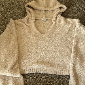 Cropped Top Hoodie